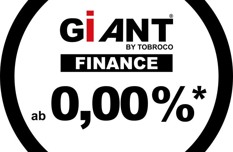 giant finance  